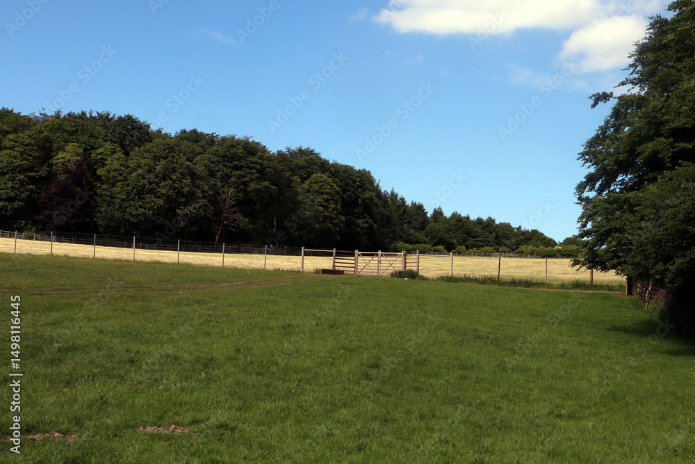 Fototapeta premium Wentworth Woodhouse Field