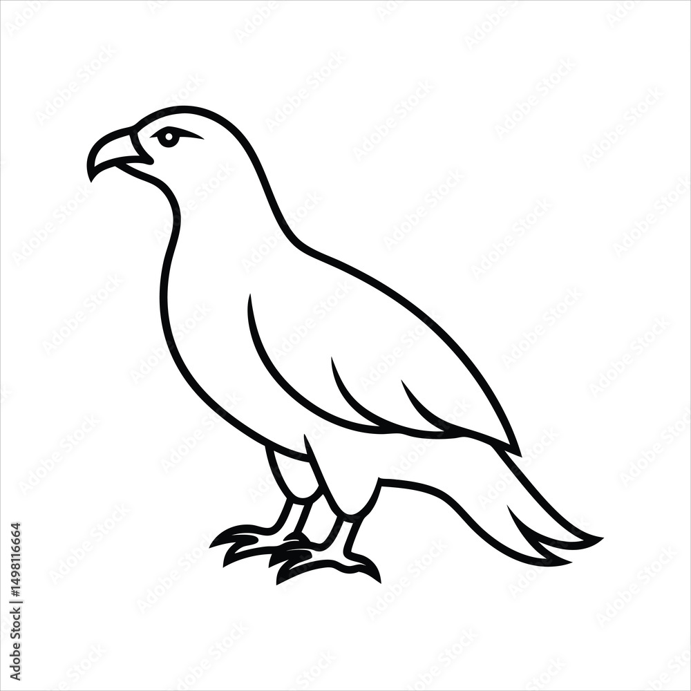 Obraz premium eagle isolated on white background