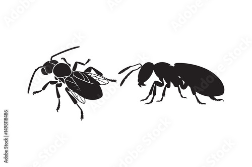 Two Wasp Hornet Silhouette Vector