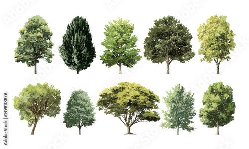 Collection of realistic trees isolated on white, natural landscape and garden design elements, vector illustration, seasonal plants, arboreal greenery, ecological backgrounds, flora diversity.