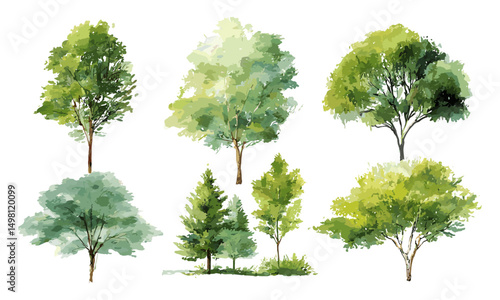 Green tree watercolor collection, hand painted nature clipart, vector illustration, forest elements, transparent background, tree leaves, woodland drawing, eco design, tree bundle.