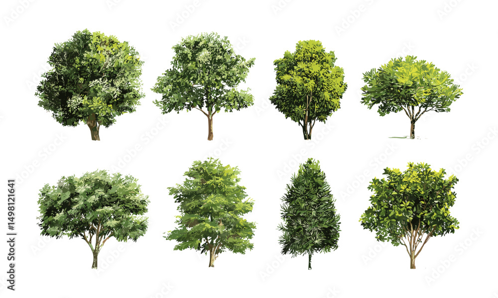 Fototapeta premium Vector illustration of green tree collections isolated on white, botanical foliage, tropical greenery design, nature plants, garden silhouette, forest leaves clipart, outdoor environment.