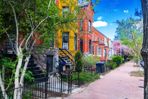 Bilde på lerret Colorful rowhouses on Capitol Hill in Washington, DC