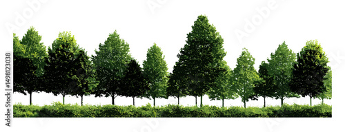 Forest green foliage in summer, isolated row of trees, natural tree line, shrubbery landscape, ecological scenery, clipping mask, wilderness background, vector illustration.