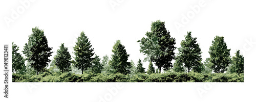 Row of trees and shrubs, forest landscape, green foliage summer, isolated tree line, clipping mask, natural environment, woodland scene, vector illustration.