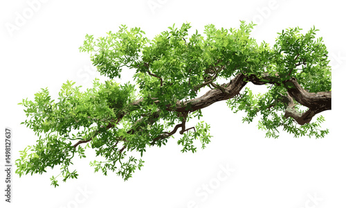 Tree branch isolated green, vector illustration, leaf texture, natural wood element, forest flora, fresh leaf, outdoor plant, eco friendly, nature design, green environment.