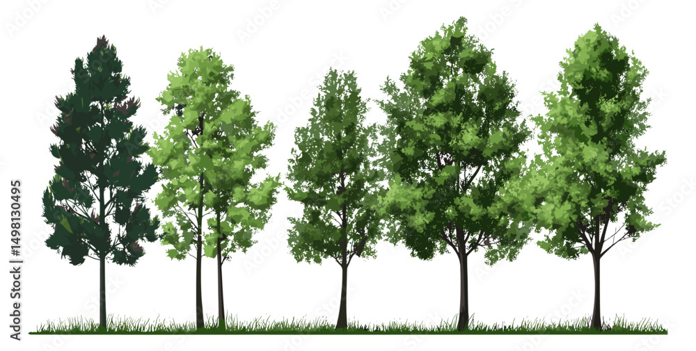 Obraz premium Green trees, summer foliage, forest nature scene, isolated on transparent background, vector illustration, woodland greenery, eco environment, seasonal leaves, natural landscape.
