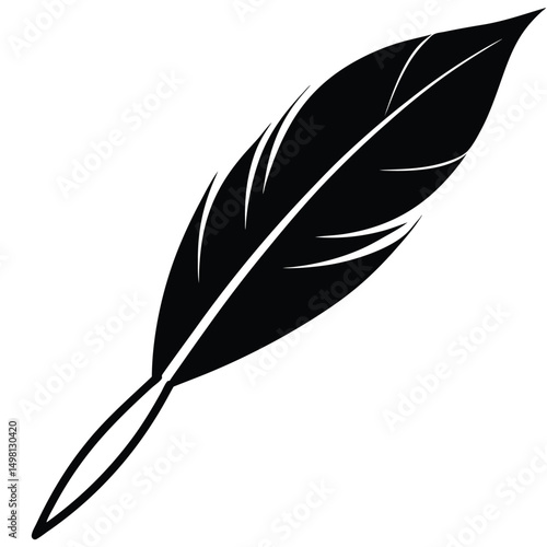 feather on white background