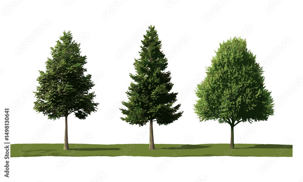 Obraz premium Summer foliage and green trees isolated, forest nature scene, vector illustration, eco greenery, natural landscape, woodland plants, fresh leaves, outdoor environment, tree branches, wild nature.