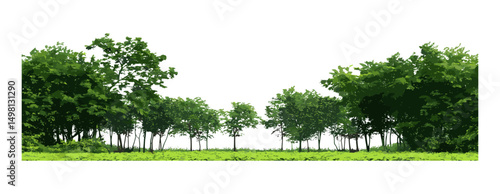 Green trees, forest foliage in summer, vector illustration, for printing and web pages, with cut path, alpha channel, natural landscape, eco environment, seasonal greenery.