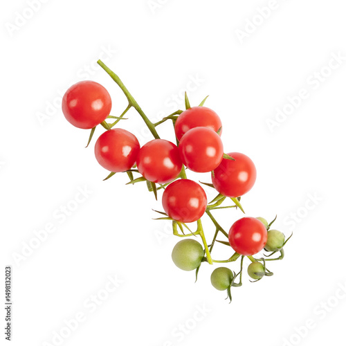 Fotografie A sprig of red cherry tomatoes isolated on a transparent background