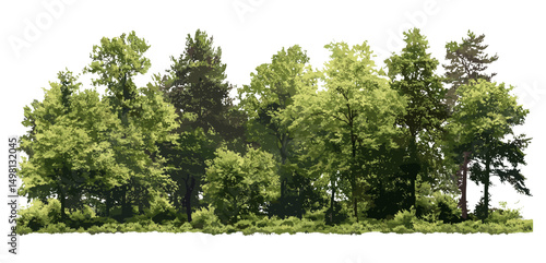 Green Trees vector illustration, forest foliage summer, web design, printing, natural landscape, ecology background, environmental nature art, woodland scenery, cutout, alpha channel.
