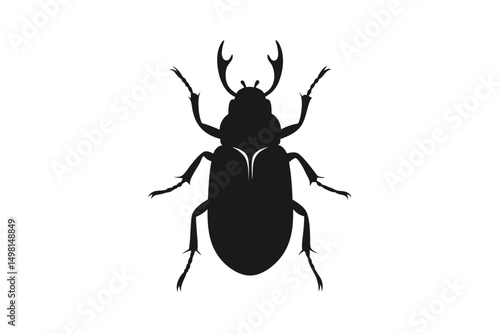 stag beetle isolated on white background
