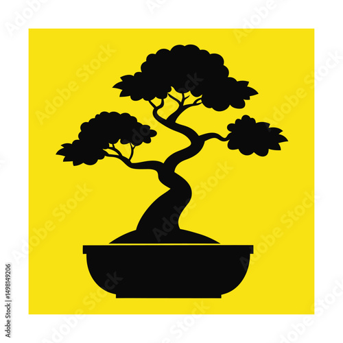 bonsai tree isolated on white