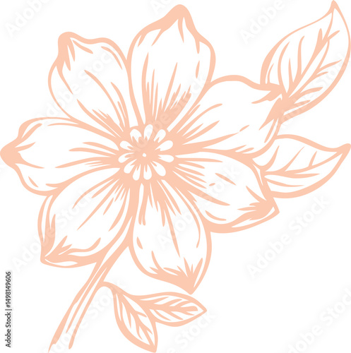 beautiful flower sketch silhouette