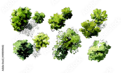Abstract watercolor tree top view, landscape plan, architecture layout, vector illustration, garden design, urban planning, environmental design, aerial forest perspective.