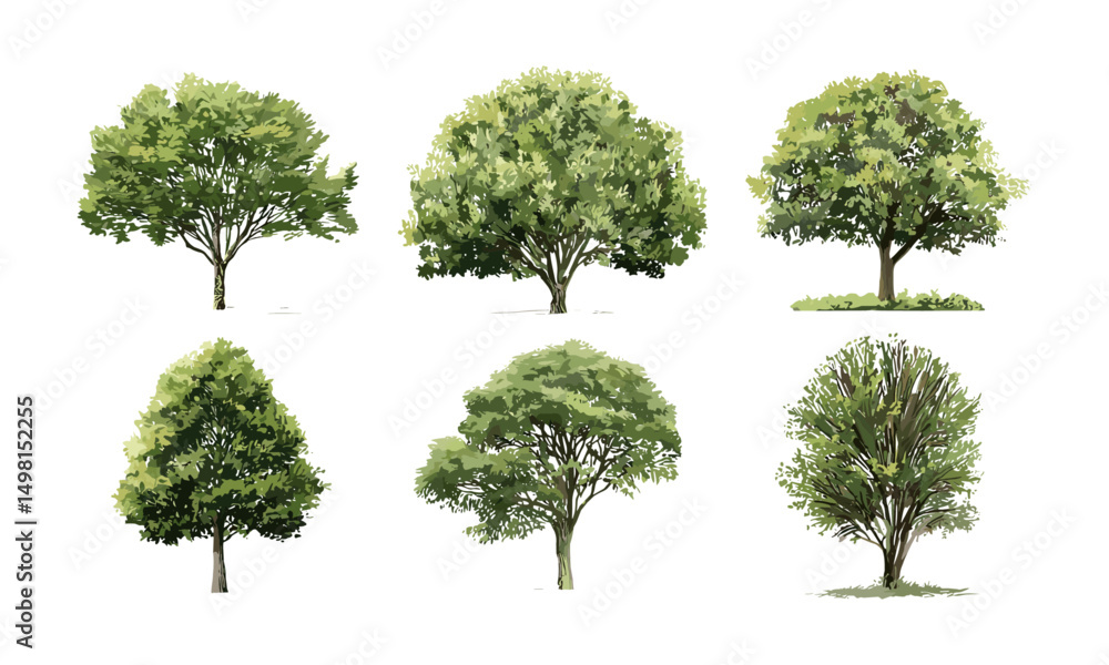 Fototapeta premium Vector illustration of isolated green tree, architectural composition, landscape design elements, outdoor environment, botanical illustration, sustainable landscaping