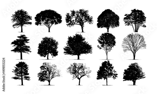 Vector illustration of trees in silhouettes, leaf patterns, forest canopy shapes, natural environment icons, woodland vector art, flora designs, garden elements, seasonal tree outlines.