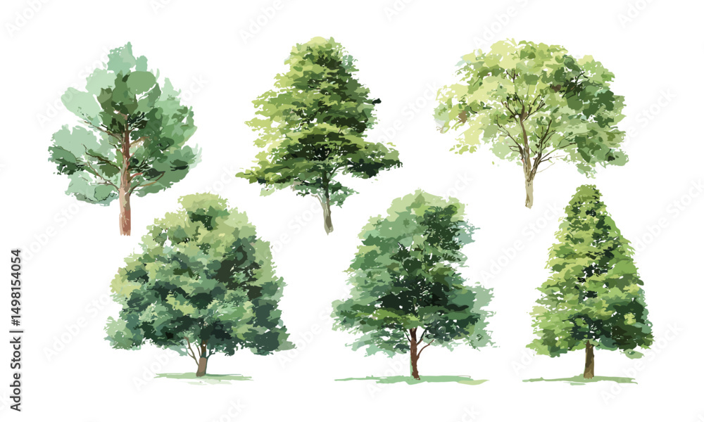 Fototapeta premium Set of watercolor green trees vector illustration, isolated on white background for garden design, landscape architecture, botanical elements for environment, spring season natural section.