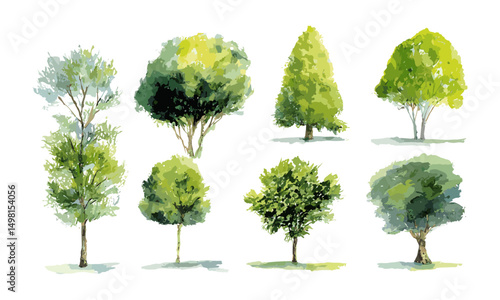 Vector illustration of watercolor green trees isolated on white background, botanical set for landscape, garden, environment section, architecture drawing, nature elements in spring season.