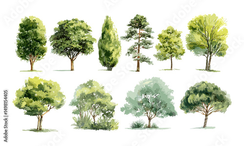 Watercolor green trees isolated for landscape and garden drawing, botanical environment elements, spring section design, natural scenery illustration, vector illustration.