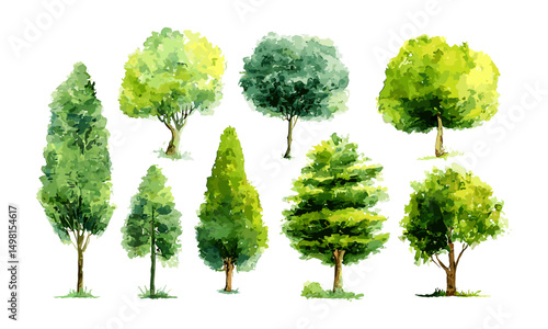 Watercolor green trees collection vector illustration, forest landscape design, botanical artwork, nature clipart, eco-friendly concept, floral elements, spring foliage, seasonal greenery.