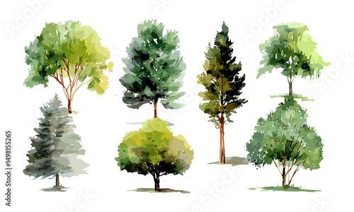 Watercolor trees set, vector illustration, botanical nature collection, forest foliage art, hand-painted tree elements, natural environment design, seasonal woodland illustration.