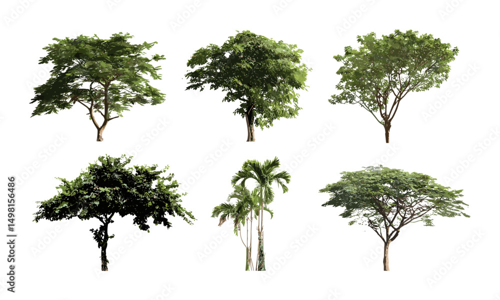 Isolated tropical tree vector illustration on white background, exotic plant silhouette, jungle greenery, rainforest vegetation, nature design, environmental concept, lush foliage. Isolated tropical tree vector illustration on white background, exotic plant silhouette, jungle greenery, rainforest vegetation, nature design, environmental concept, lush foliage.