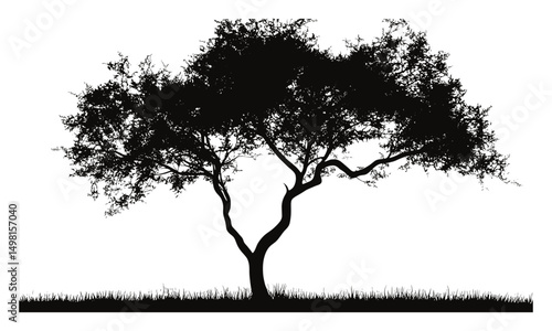 Tree silhouette brush vector illustration, realistic natural brush, alpha channel, clipping path included, eco design, woodland theme, seasonal foliage, landscape graphic elements.
