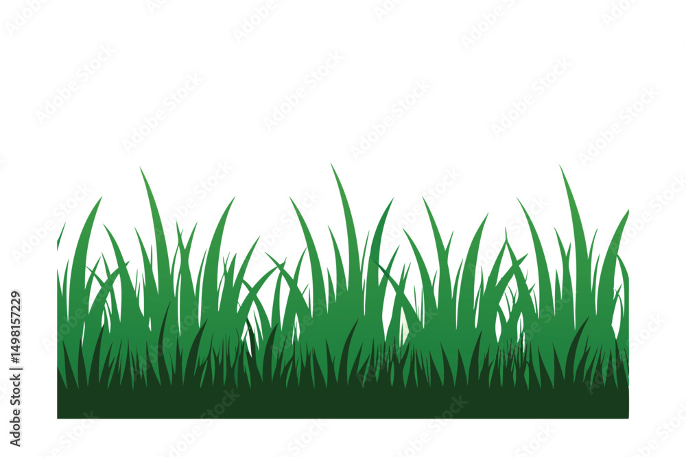 Fototapeta premium green grass on white background