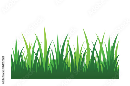 green grass isolated on white background