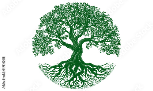 Round shaped tree with roots, minimal tree silhouette, vector illustration, natural growth, ecology concept, tree emblem, earthy design, flora, isolated, transparent background.