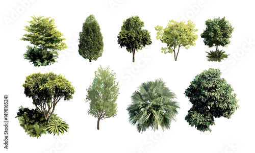 Aerial view of lush plants, tree canopy, tropical forest greenery, natural environment, exotic leaves cluster, botanical garden elements, jungle scenery, vector illustration.