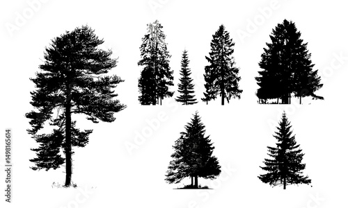 Silhouette of isolated pine tree, coniferous forest outline, nature scene on white background, vector illustration, evergreen landscape, woodland environment, outdoor forest view.