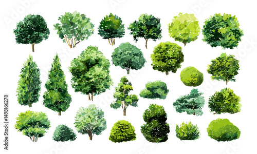 Various green trees, bushes, shrubs top view for landscape design plan, isolated watercolor illustration, vector illustration, garden layout, nature elements, park design.