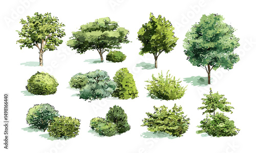 Isolated green trees, shrubs, bushes watercolor illustration for landscape design plan, vector illustration, environmental design, plant elements, outdoor greenery, sustainable landscaping.