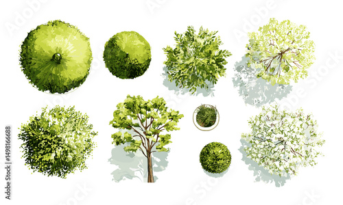 Watercolor tree top view vector illustration isolated on white for landscape plan, architecture layout, garden elements, environment design, natural patterns, ecological landscaping, green space.
