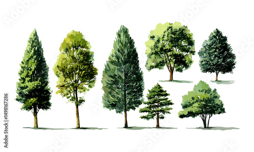 Watercolor trees vector illustration, forest drawing, hand painted foliage, nature landscape art, botanical design, seasonal leaves, organic texture, green scenery, environmental concept.