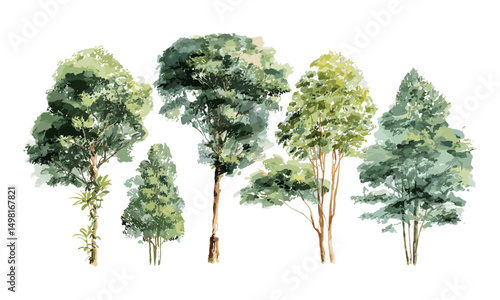Vector illustration hand drawn watercolor tree top isolated on white background for landscape design, architecture layout, garden environment, outdoor nature elements, eco-friendly planning.