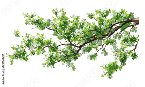 Vector illustration, blooming flowers in spring, botanical elements, watercolor tree top view, garden elements, architecture drawing, landscape plan, isolated on white, environment.