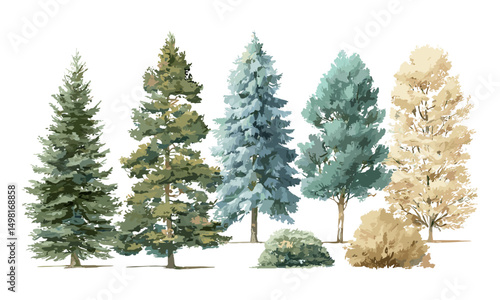 Vector illustration watercolor tree side view, green pine, blue spruce, lush ash, beige bush, forest trees illustration EPS, hand drawn set of trees, nature landscape design, woodland scene.