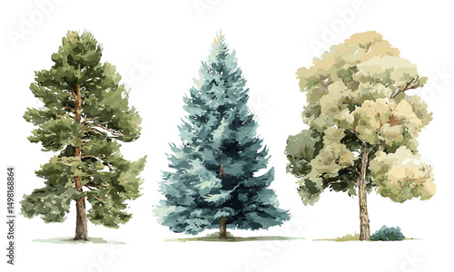 Hand drawn forest trees vector illustration, watercolor side view, pine, blue spruce, ash, beige bush, natural landscape, botanical elements, outdoor environment, nature art.