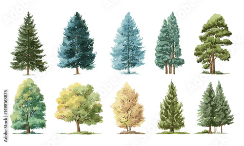 Vector illustration watercolor forest trees, side view of pine, spruce, ash, beige bush, hand drawn nature elements, green foliage, woodland scene, botanical drawing, tree collection.