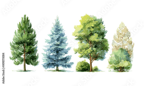 Vector illustration, green pine, blue spruce, lush ash watercolor tree set, beige bush, woodland scenery, natural landscape, spring trees, hand-painted style.