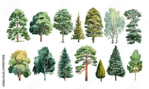 Trees pack hand drawn, watercolor forest elements, vector illustration, wild nature design, leaf patterns, tree canopy art, outdoor flora, natural scenery composition.
