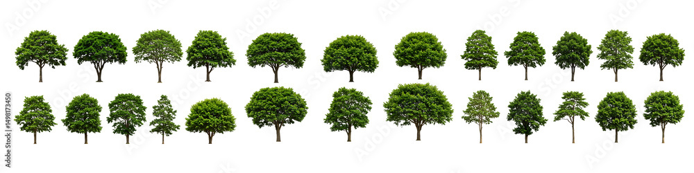 Fototapeta premium Collection of Green Trees for Landscape Design On Transparent Background