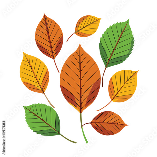 Leaf  isolated on white background. Leaf vector art illustration. Collection of beech leaf logo, icon vector.
