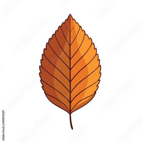 Leaf  isolated on white background. Leaf vector art illustration. Collection of beech leaf logo, icon vector.