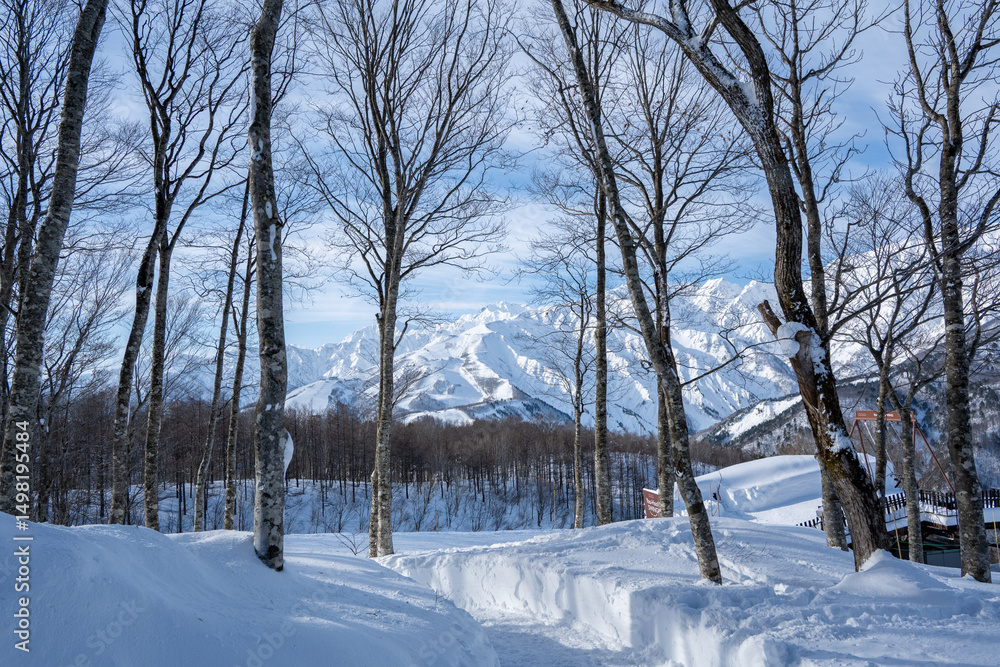 Obraz premium スキー場 ゲレンデ風景 長野県白馬村