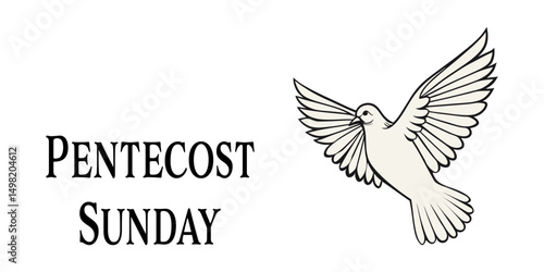 Illustration of a white dove with spread wings symbolizing the Holy Spirit, accompanied by the text Pentecost Sunday. Ideal for church events, religious posters, or Pentecost celebrations